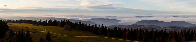 20111108-162552-Bearbeitet.jpg
