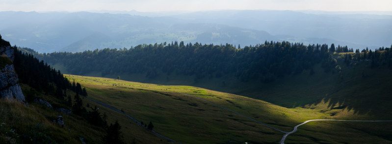 20120803-111143-Bearbeitet.jpg