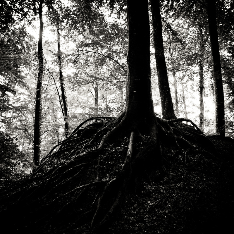 20090829-074424.jpg