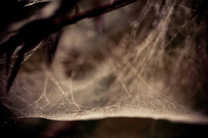 20111002-113734.jpg