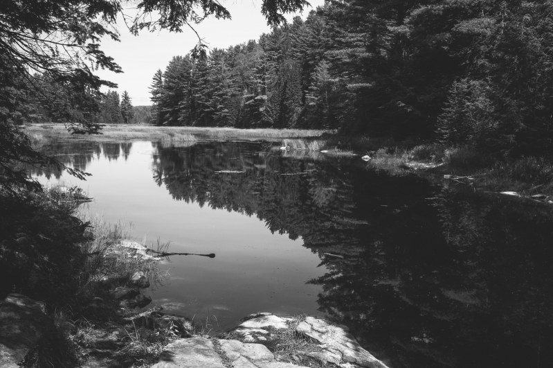 20130901-140441.jpg