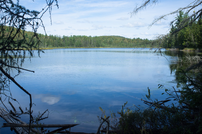20130901-142028.jpg