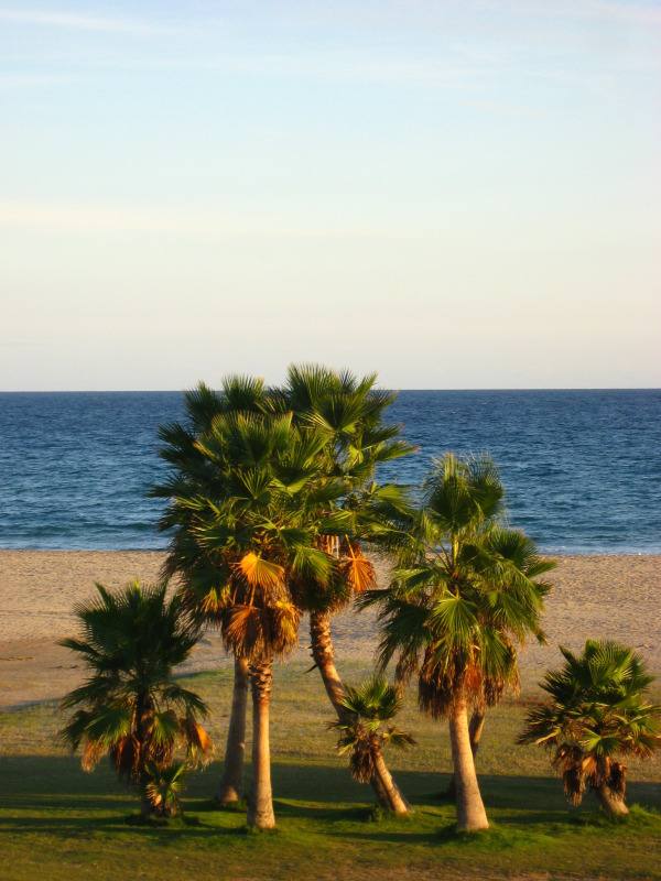 20061005-195650.jpg