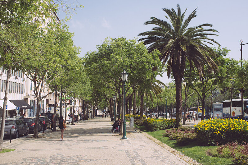 20140417-173319.jpg