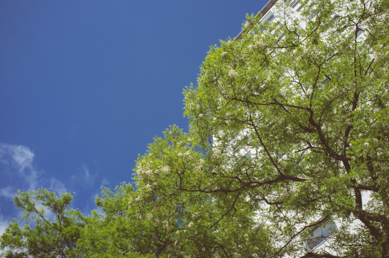 20140607-093539.jpg