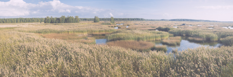 20140907-165151-Bearbeitet.jpg