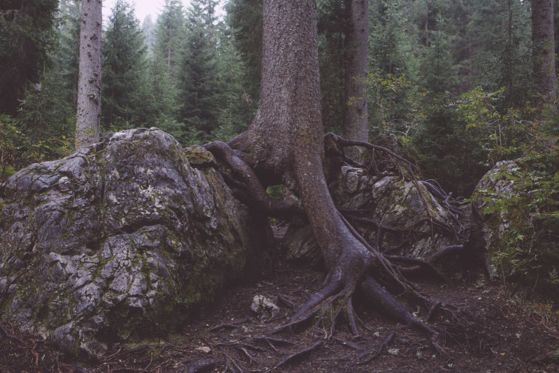 20150917-124317.jpg