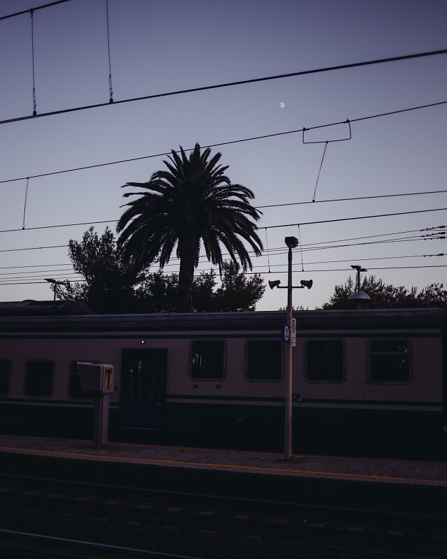 20170802-200414.jpg
