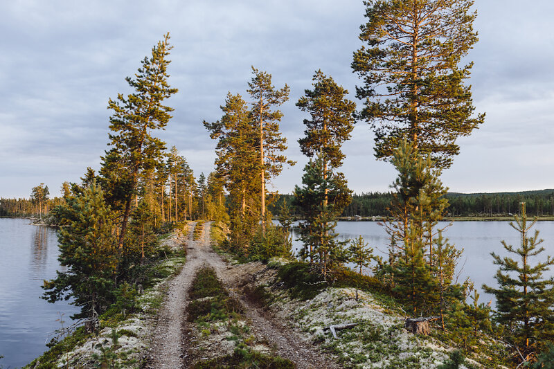 20210819-204157.jpg