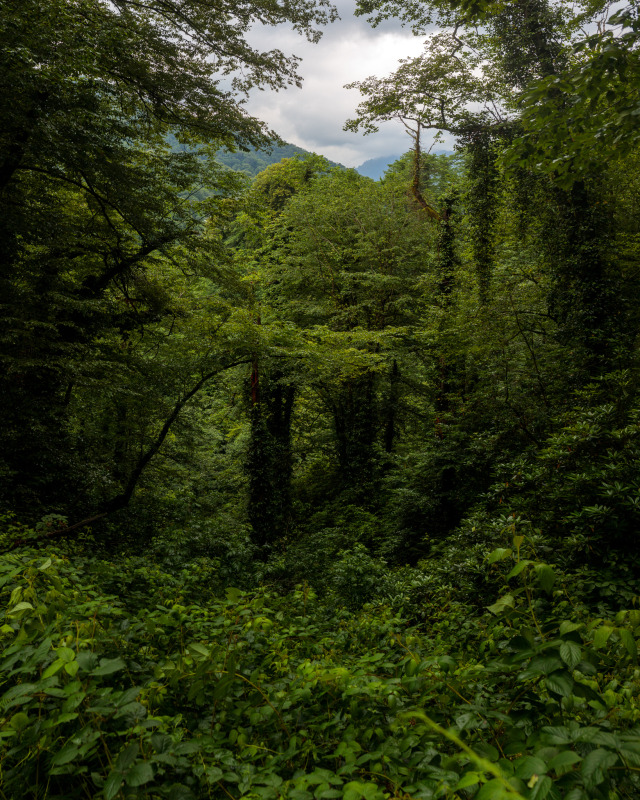 20220702-131000-Pano.jpg